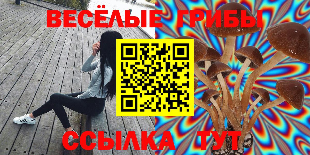 Галлюциногенные грибы Cubensis Еманжелинск